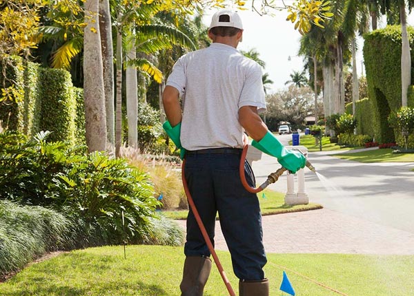 About Massapequa NY Pest Control